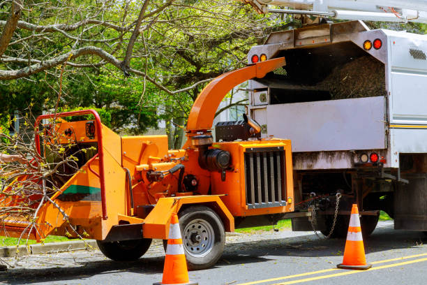 Best Utility Line Clearance  in Twentynine Palms, CA
